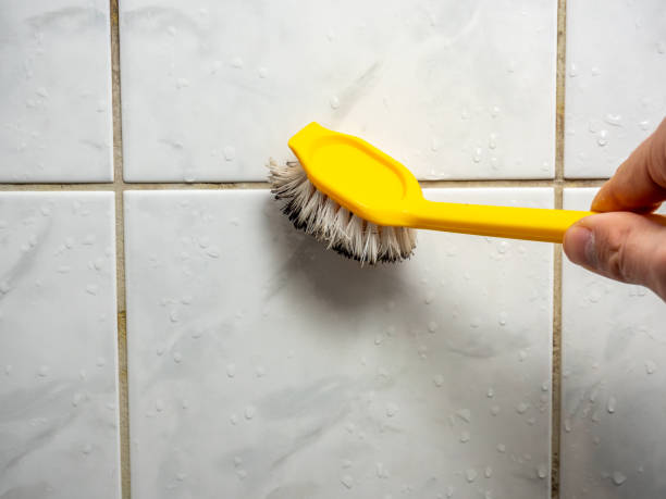 Best Mold Damage Repair  in Kentwood, MI