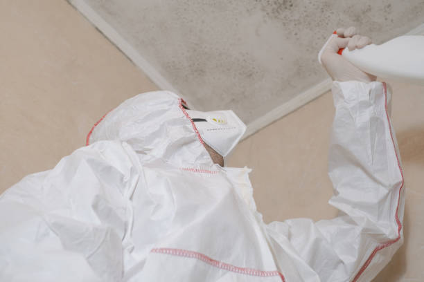 Best Professional Mold Removal  in Kentwood, MI